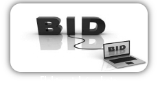 elektronicke aukcie
